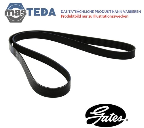 6pk1019sf belt ribbed - v-belt, v-ribbed